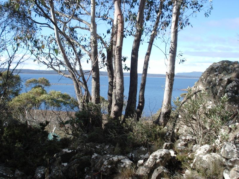 Lot 2, 2 Seals Road, BRANDUM TAS 7304, Image 2