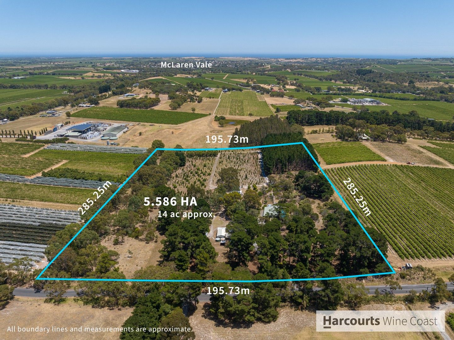 62 Hunt Road, McLaren Flat SA 5171, Image 0