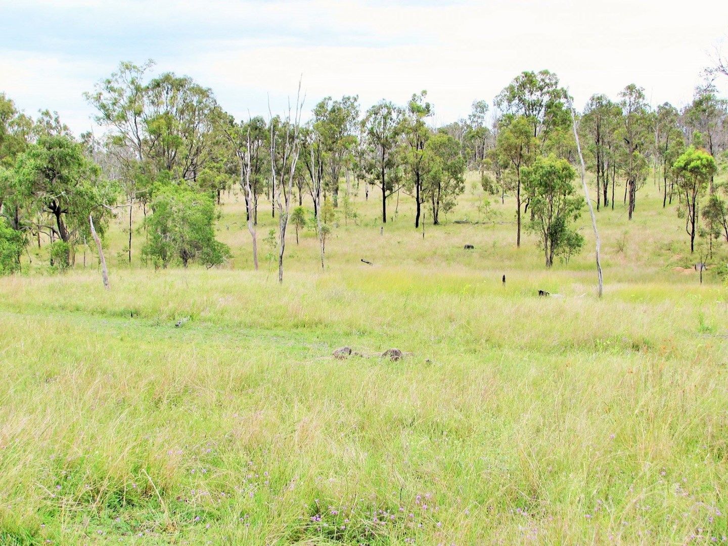 . Shellytop Road, Durong QLD 4610, Image 0