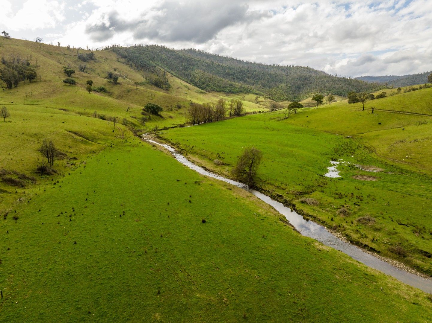 'Rockview' 400 Horse Creek Road, Jingellic NSW 2642, Image 0