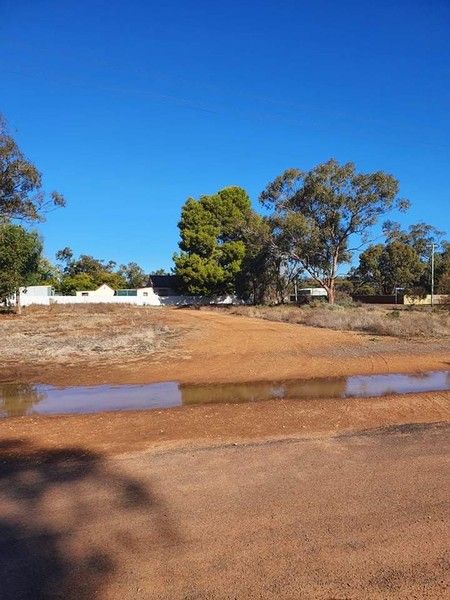 12 illewong, Euabalong West NSW 2877, Image 1