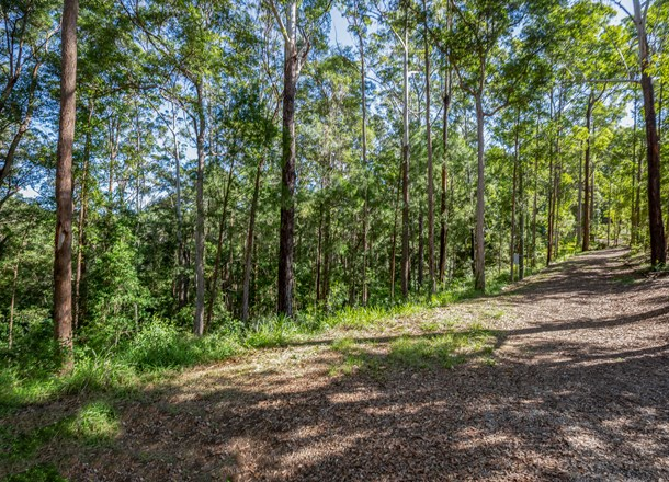 99-105 Tallgum Avenue, Doonan QLD 4562