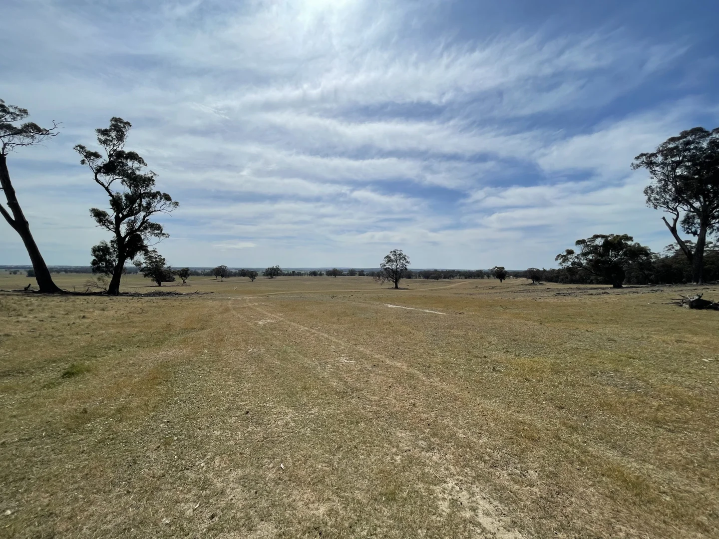 Image 9