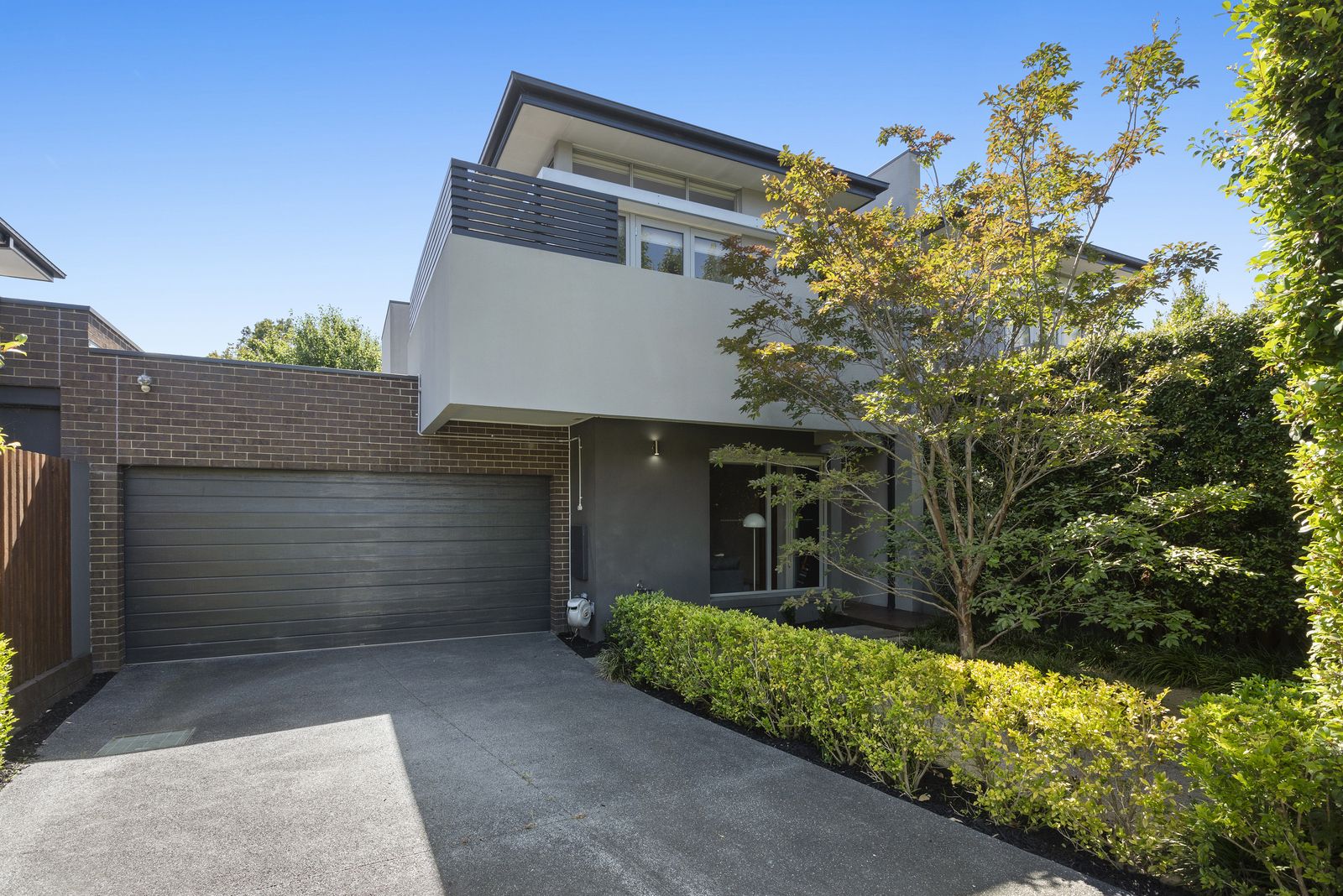 12 Hoffman Street, Cheltenham VIC 3192, Image 0