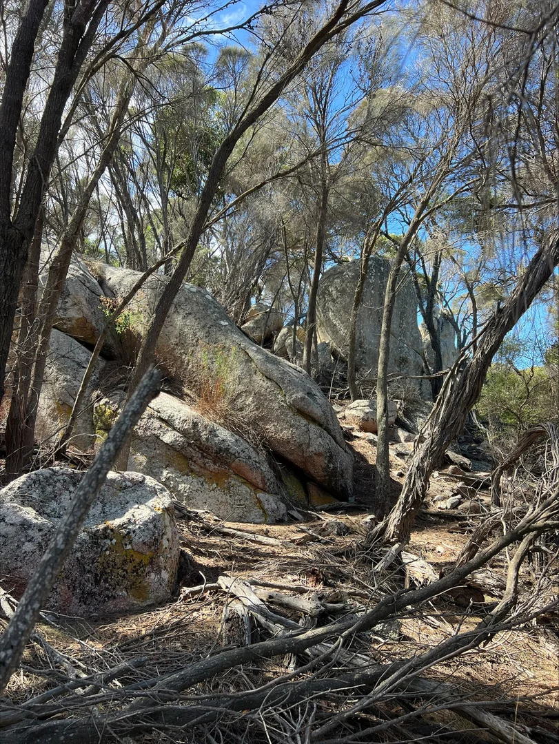 Additional image 13 of Lot 2 West End Road, Leeka TAS 7255