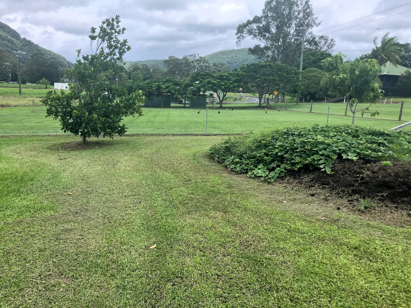 Image 18