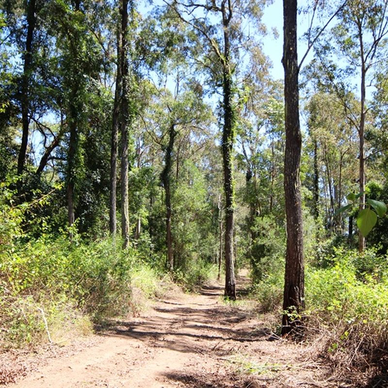 0 Sunday Creek Road, Jimna QLD 4515 House For Sale Domain