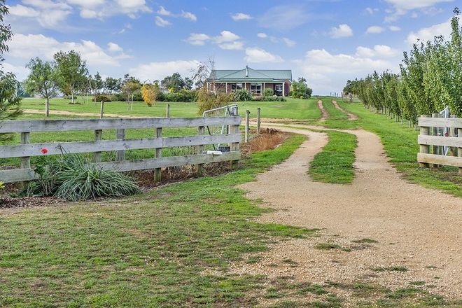 Picture of 44 Roseneath Road, PURNIM WEST VIC 3278