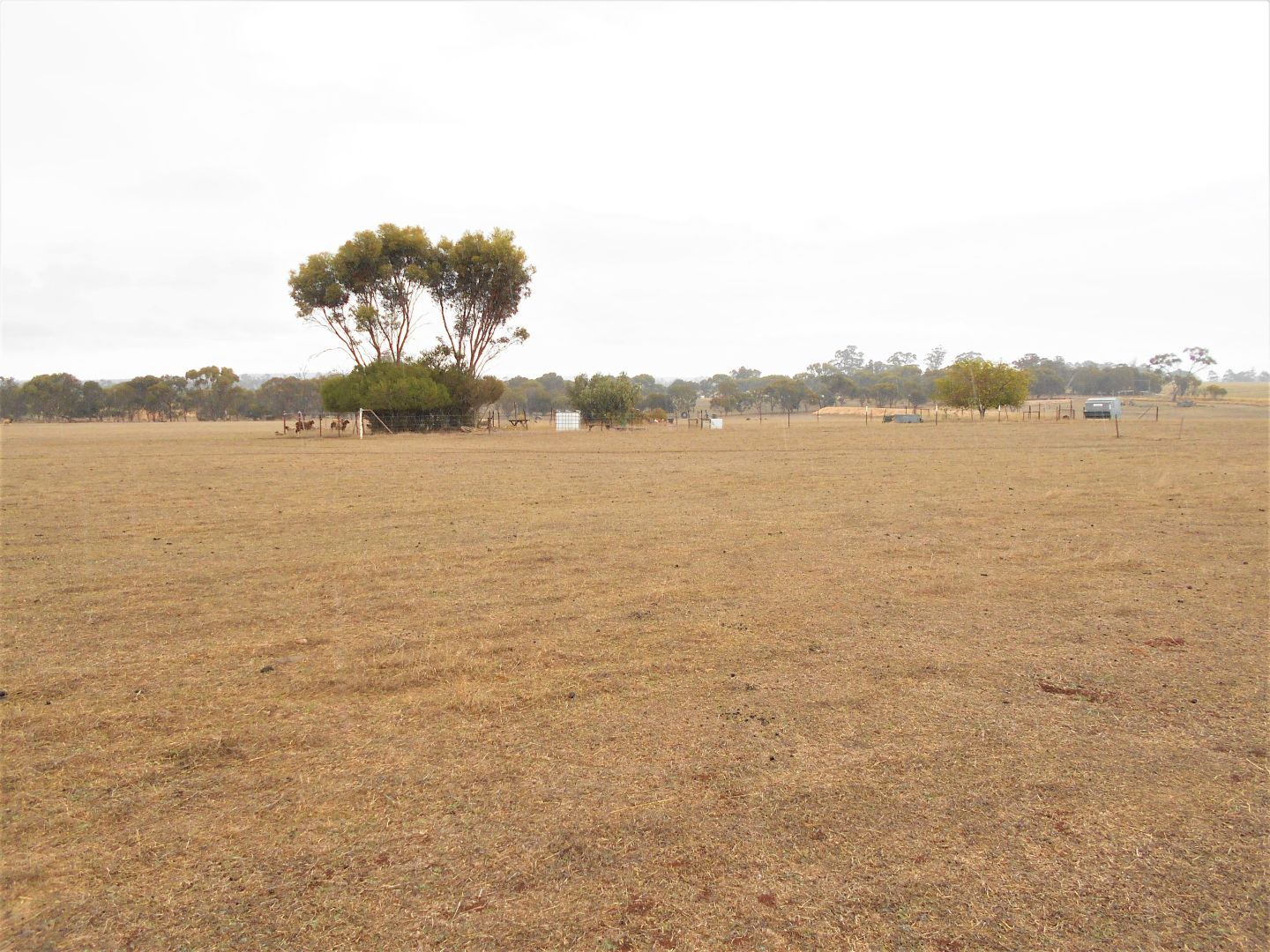 Lot 362 Spencer Road, Broomehill Village WA 6318, Image 1