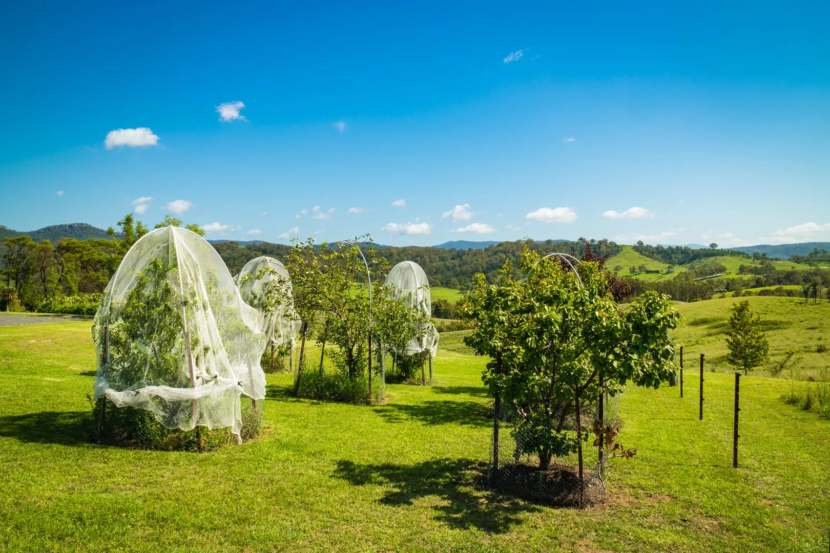 Additional image 24 of 86 Garfield Road, Numbugga NSW 2550