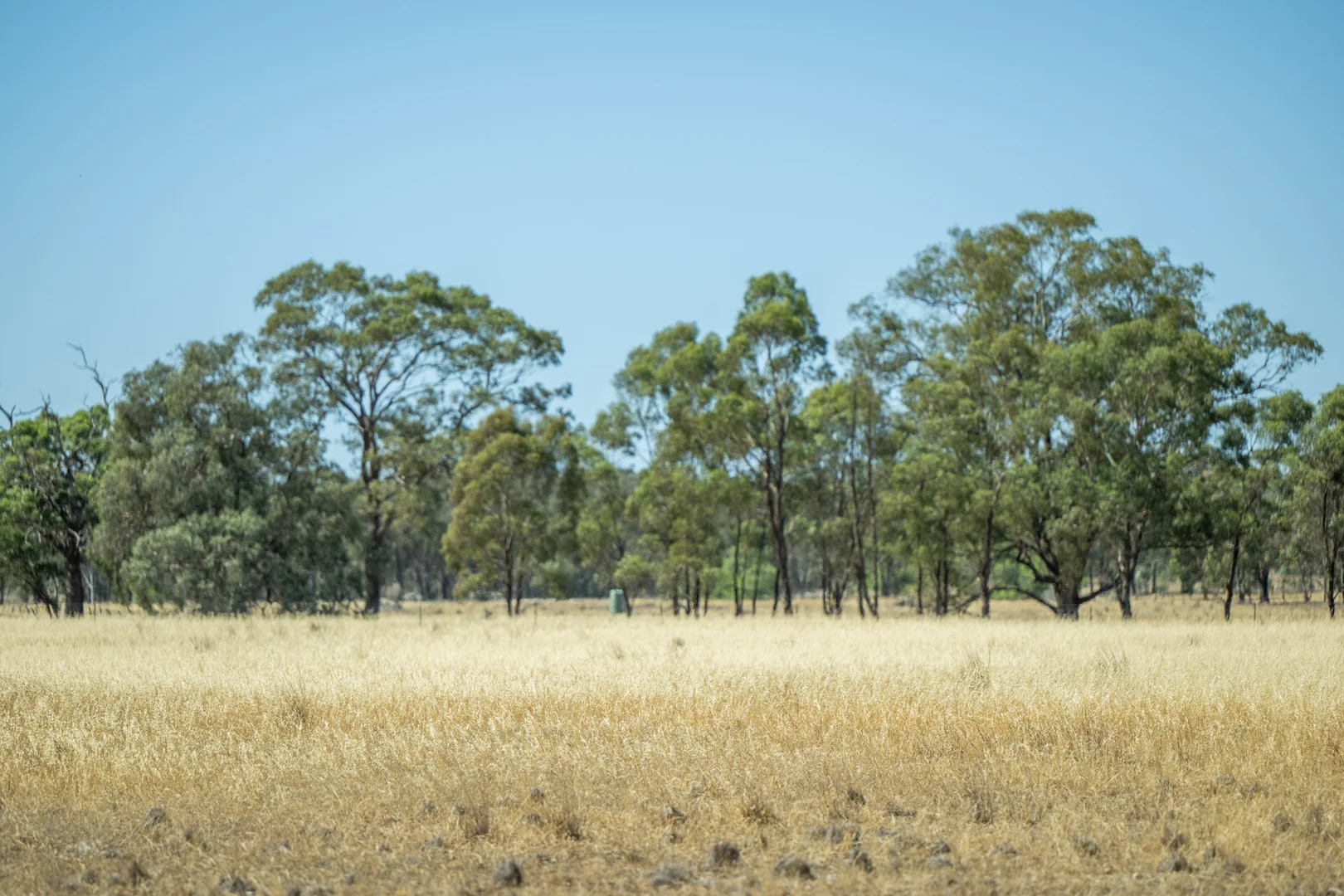 Additional image 13 of 1 Old Corop Road, Rushworth VIC 3612