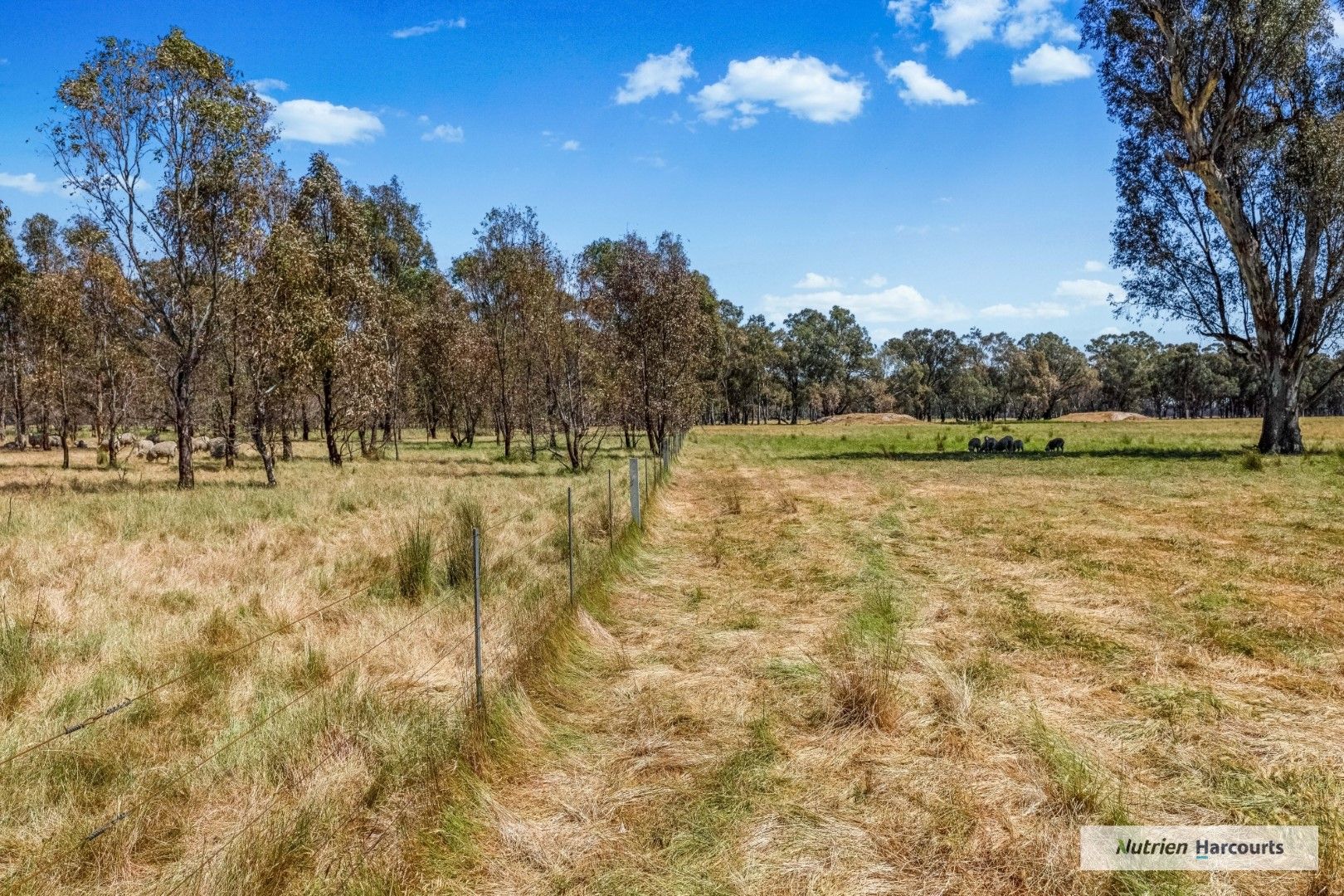 250 Carmodys Road, Locksley VIC 3665, Image 2