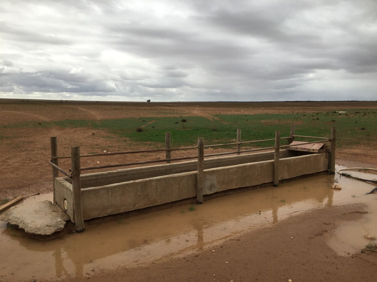 Section 27, Hundred of Bonython, Ceduna SA 5690, Image 2