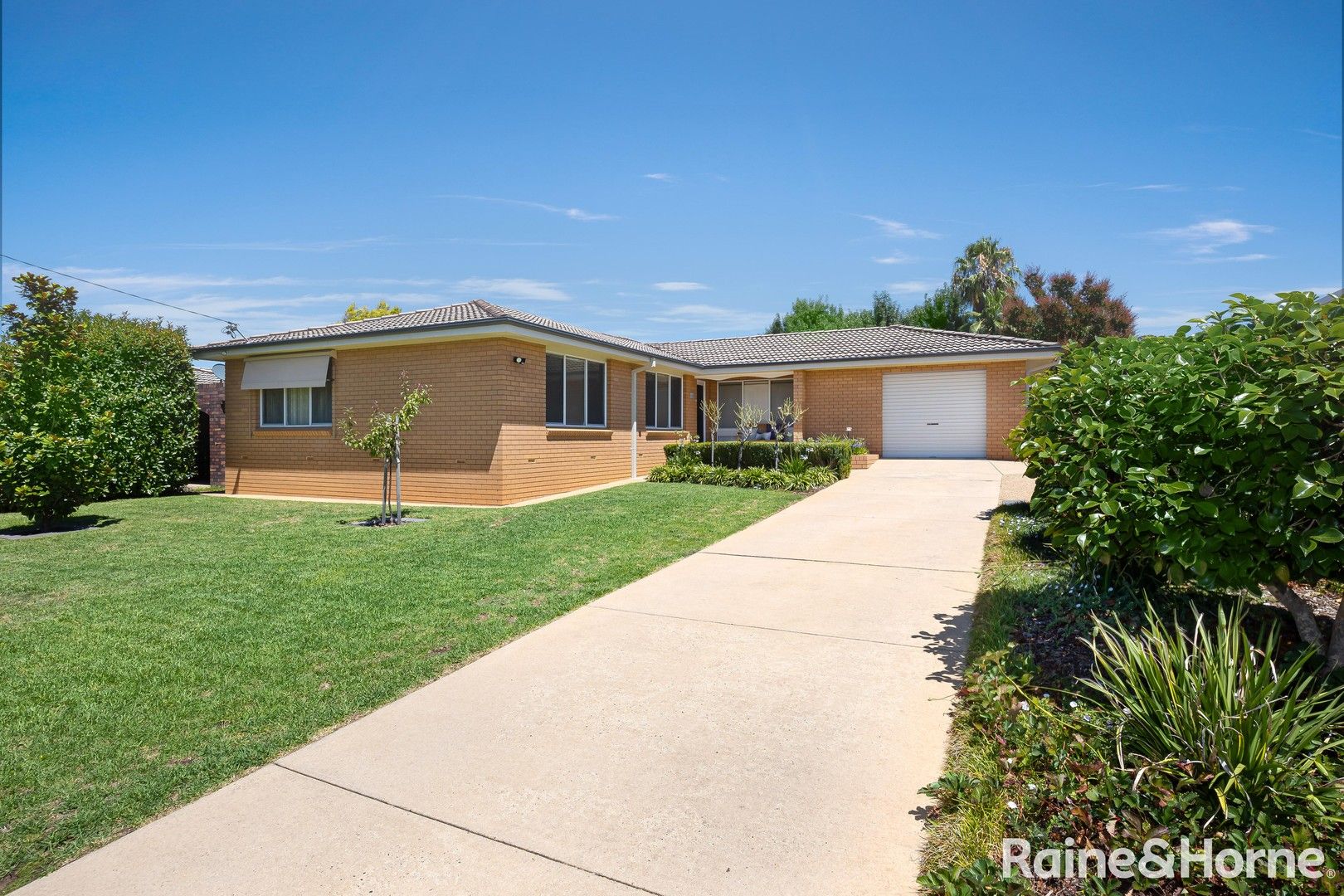 14 Alldis Place, Kooringal NSW 2650, Image 0