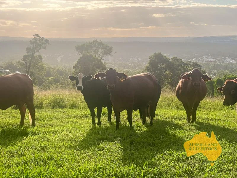 Additional image 26 of 6, . RURAL ROAD, Nanango QLD 4615