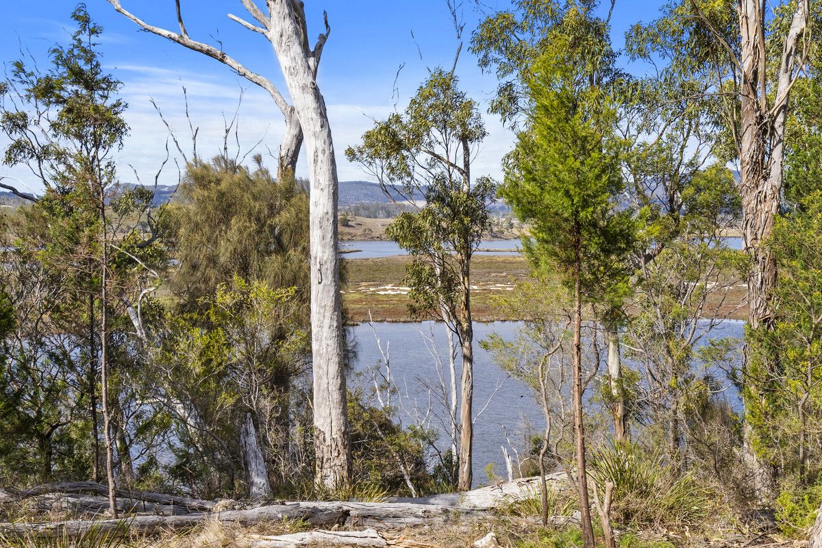 10562 Tasman Highway, Little Swanport TAS 7190, Image 2