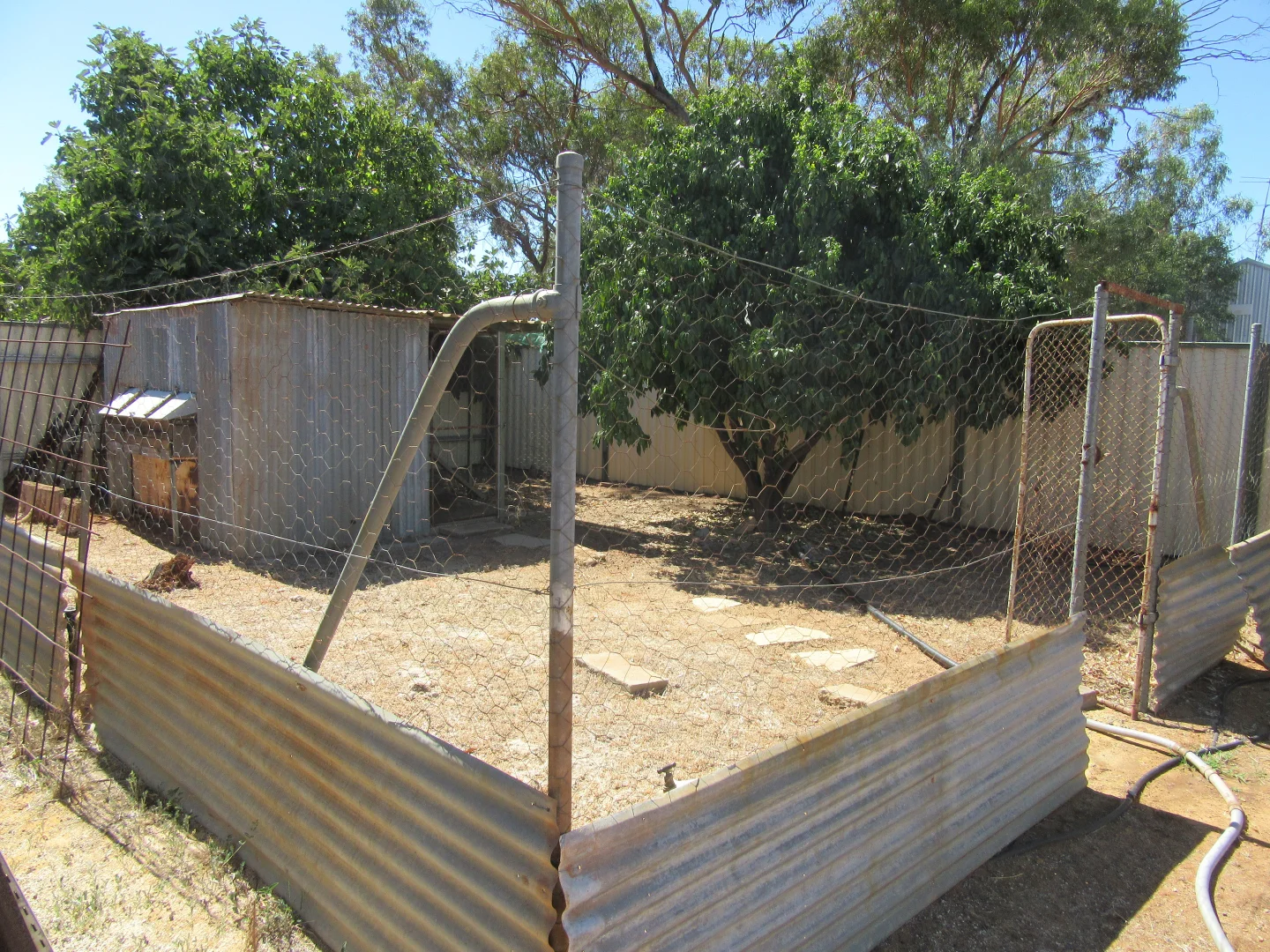 Image 19