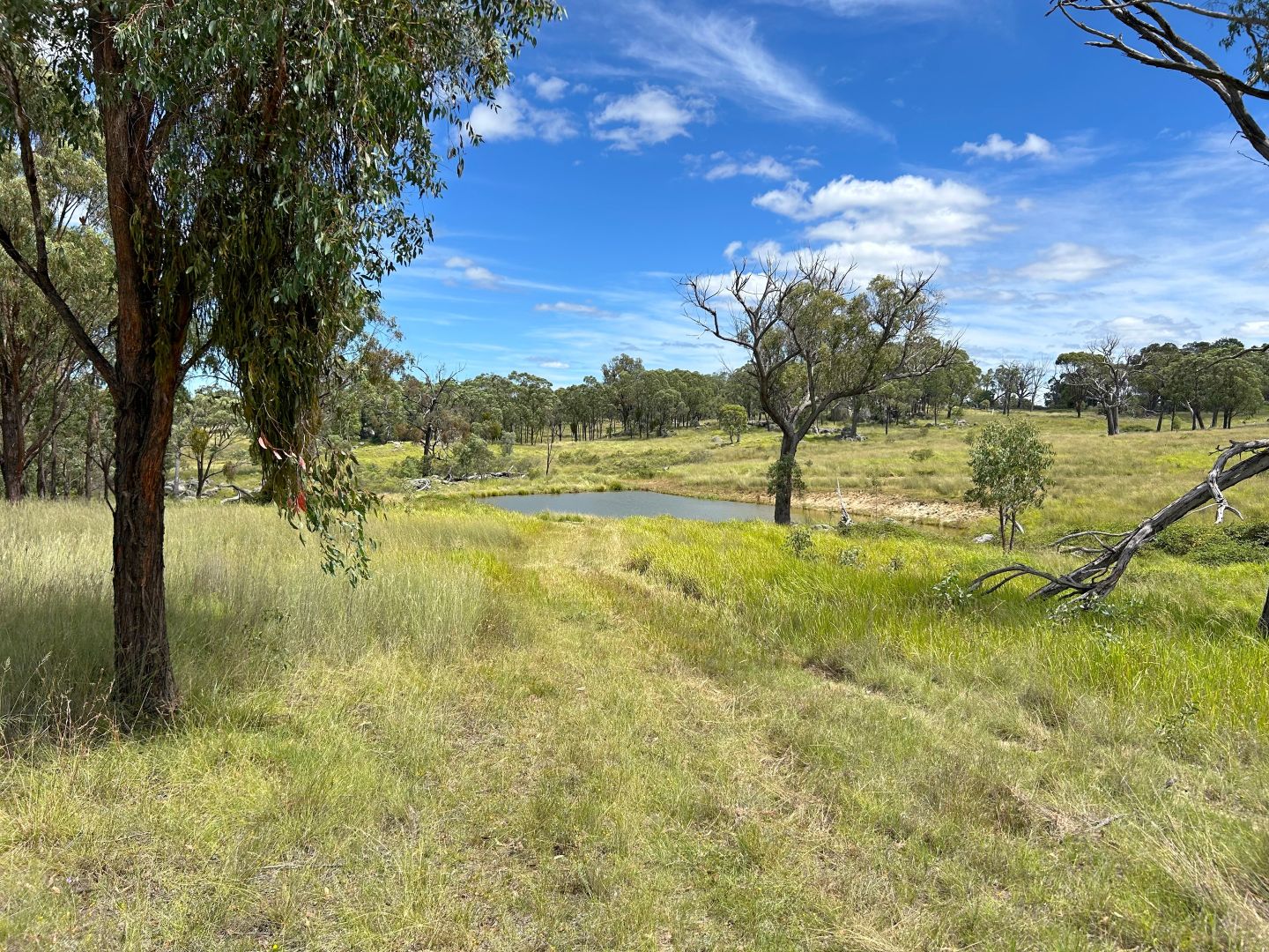 13081 Guyra Road, Inverell NSW 2360, Image 2