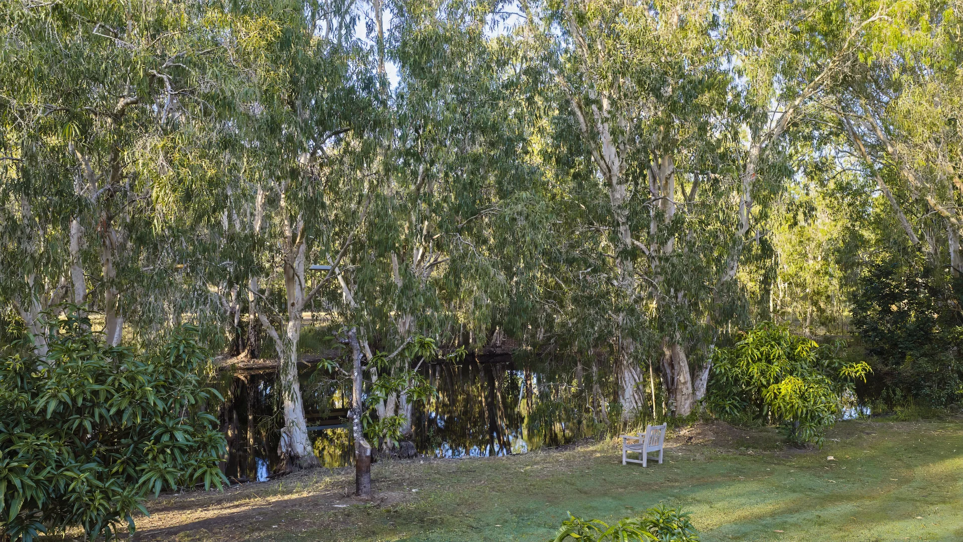 Image 30