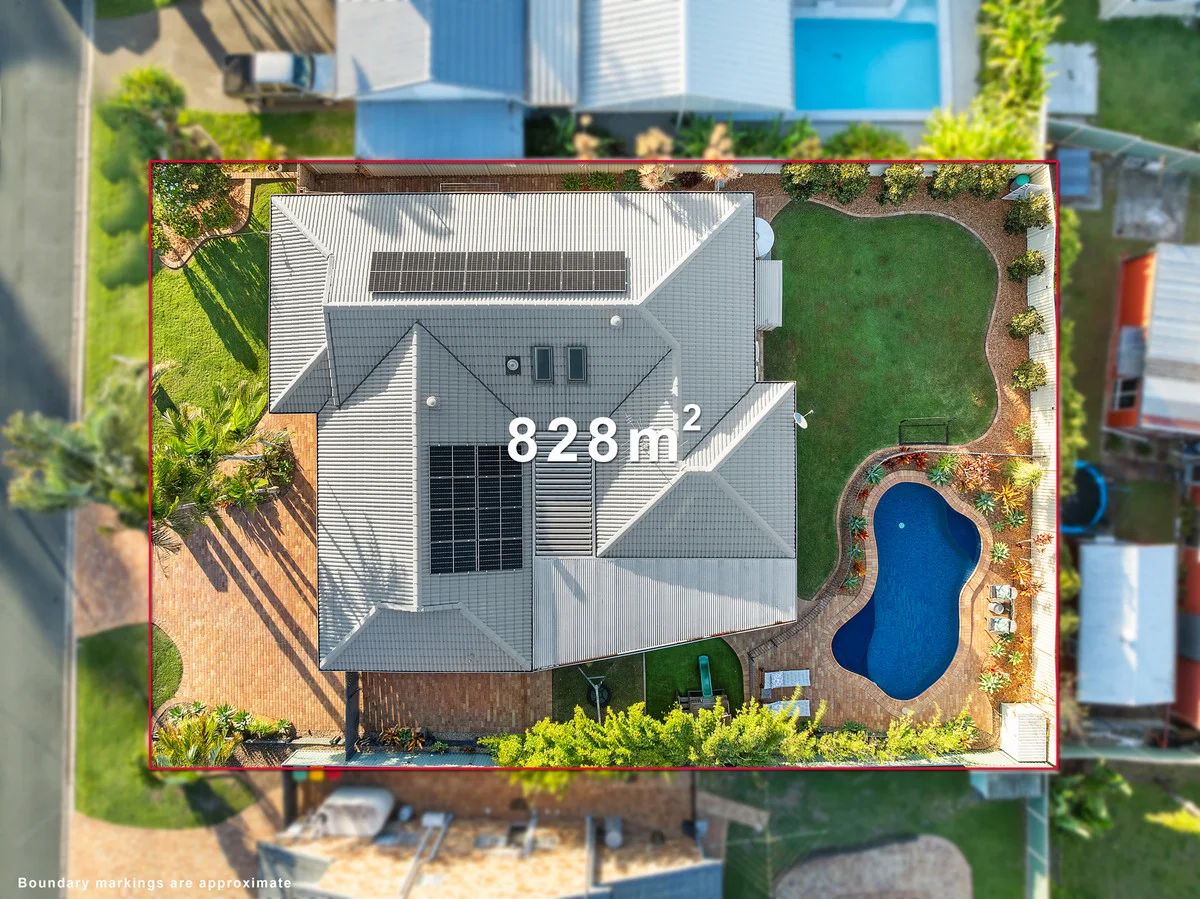 42 Frampton Street, Alexandra Hills QLD 4161