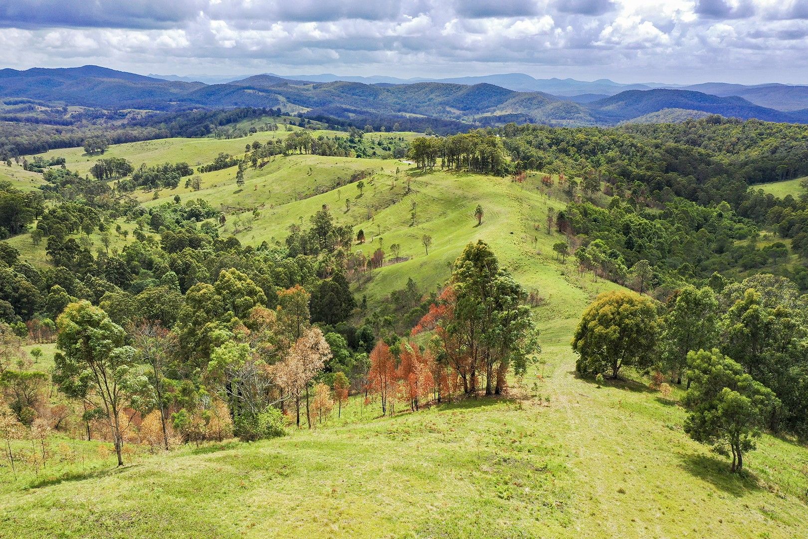 Rural in 846 Glen Martin Road, CLARENCE TOWN NSW, 2321
