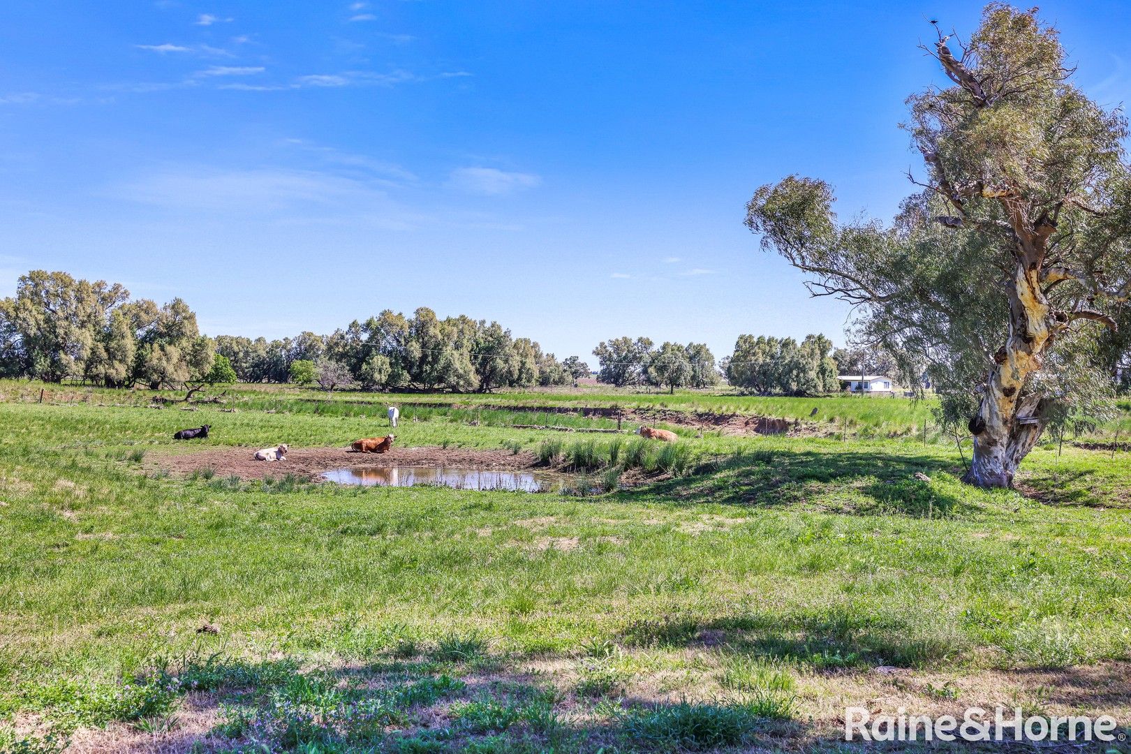 218 Old Winton Road, Tamworth NSW 2340 Domain