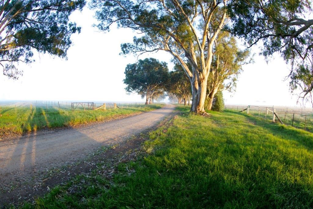 Lot 5 Bourke Road, Bowser VIC 3678, Image 2