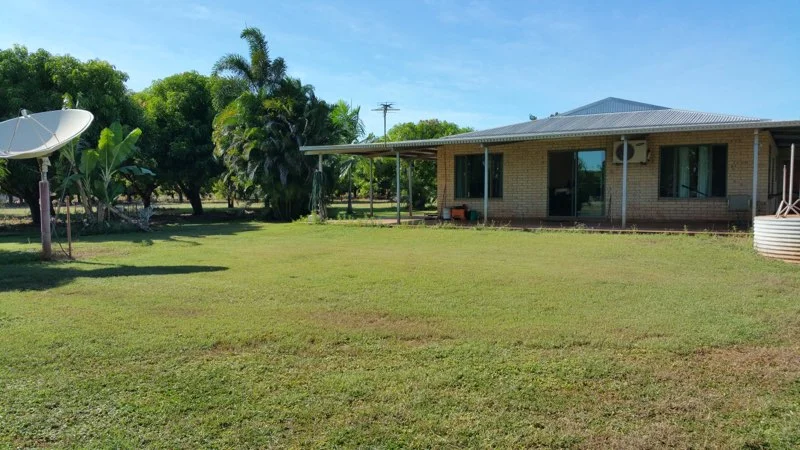 Image 13
