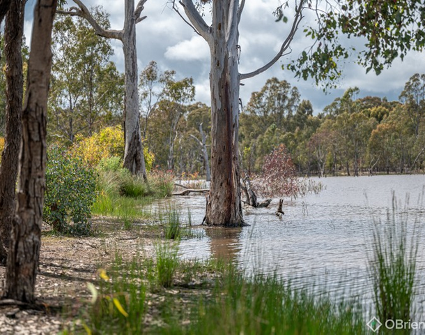 650 Gellibrand Tonks Road, Earlston VIC 3669