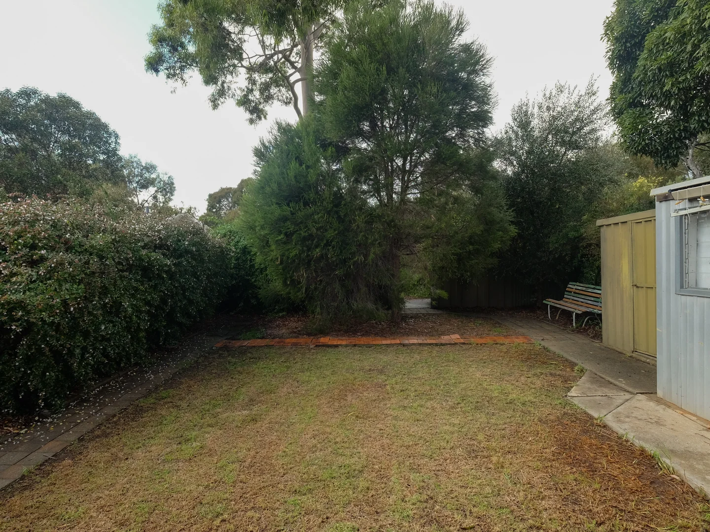 Image 14