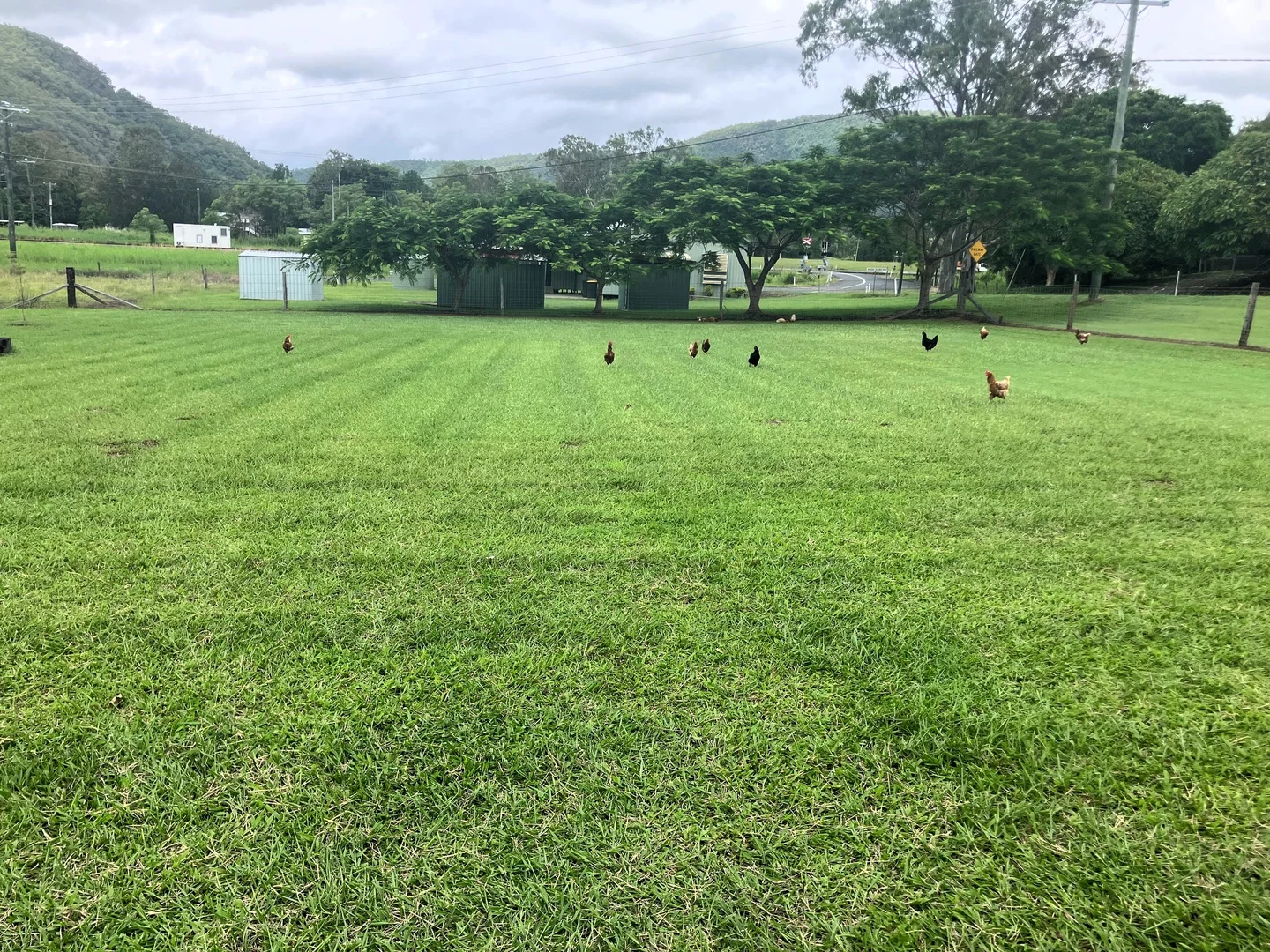 Image 10