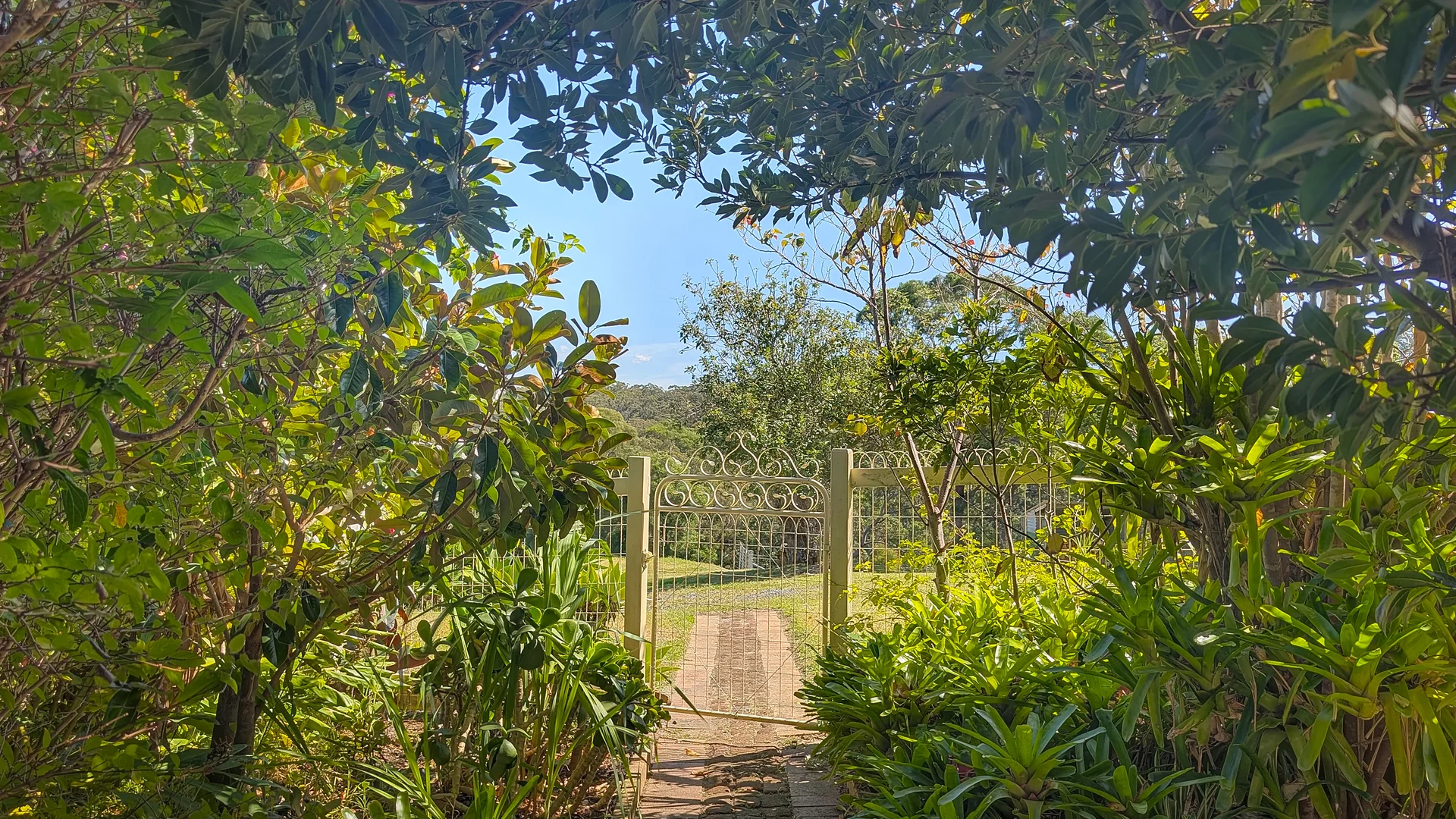 Additional image 31 of 9050 Springhills Road, Tilba Tilba NSW 2546