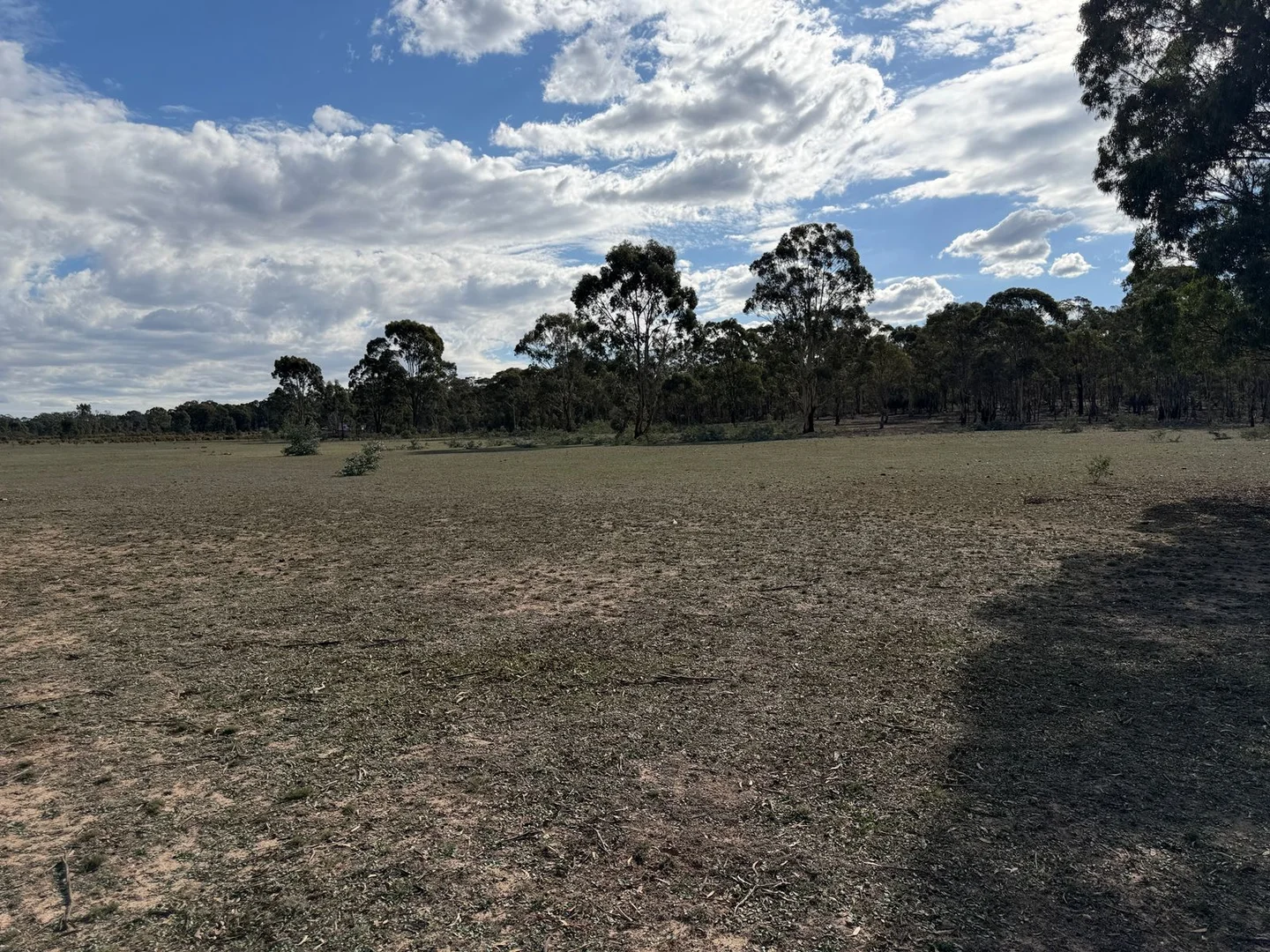 Image 13