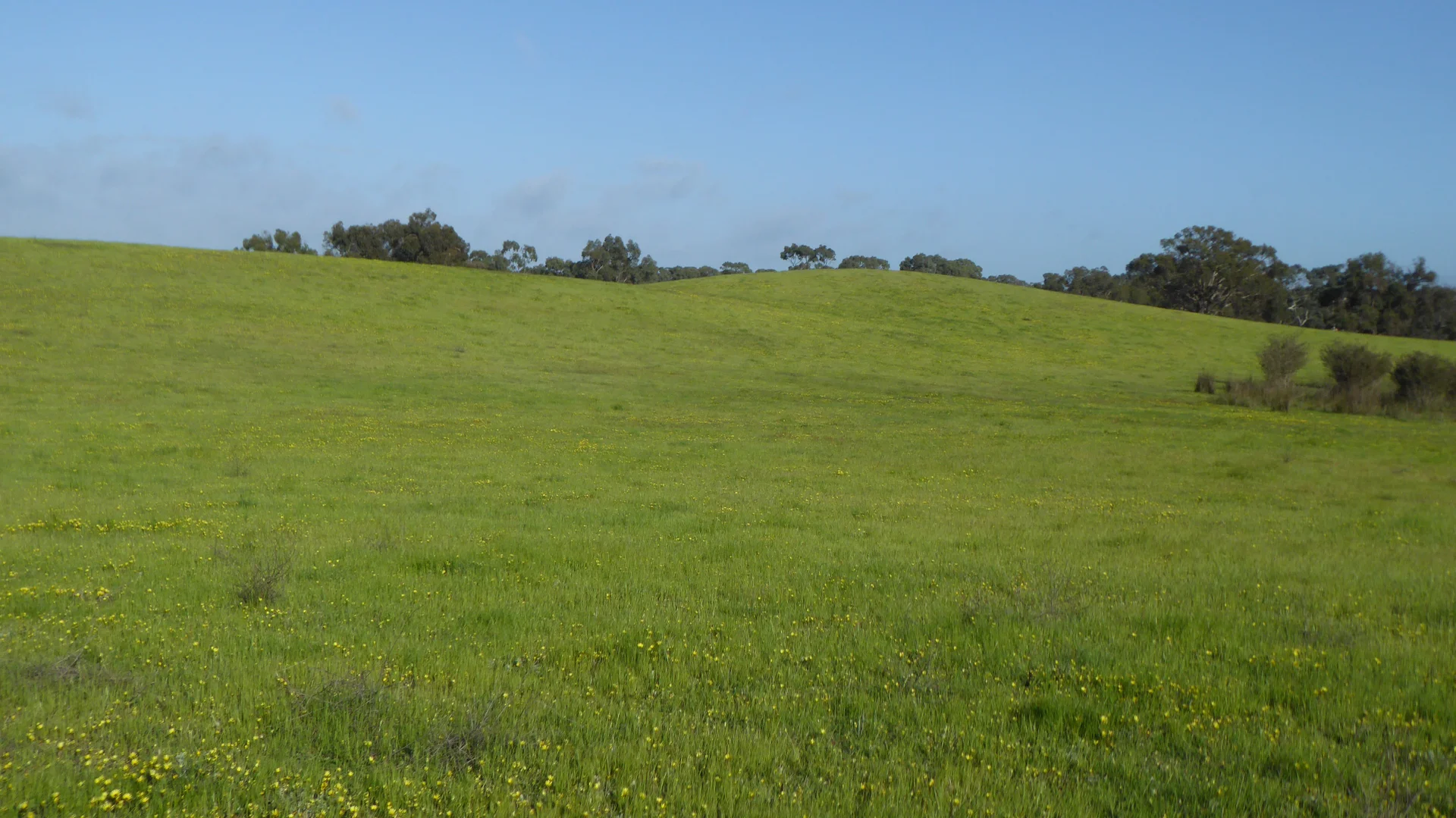 Image 17