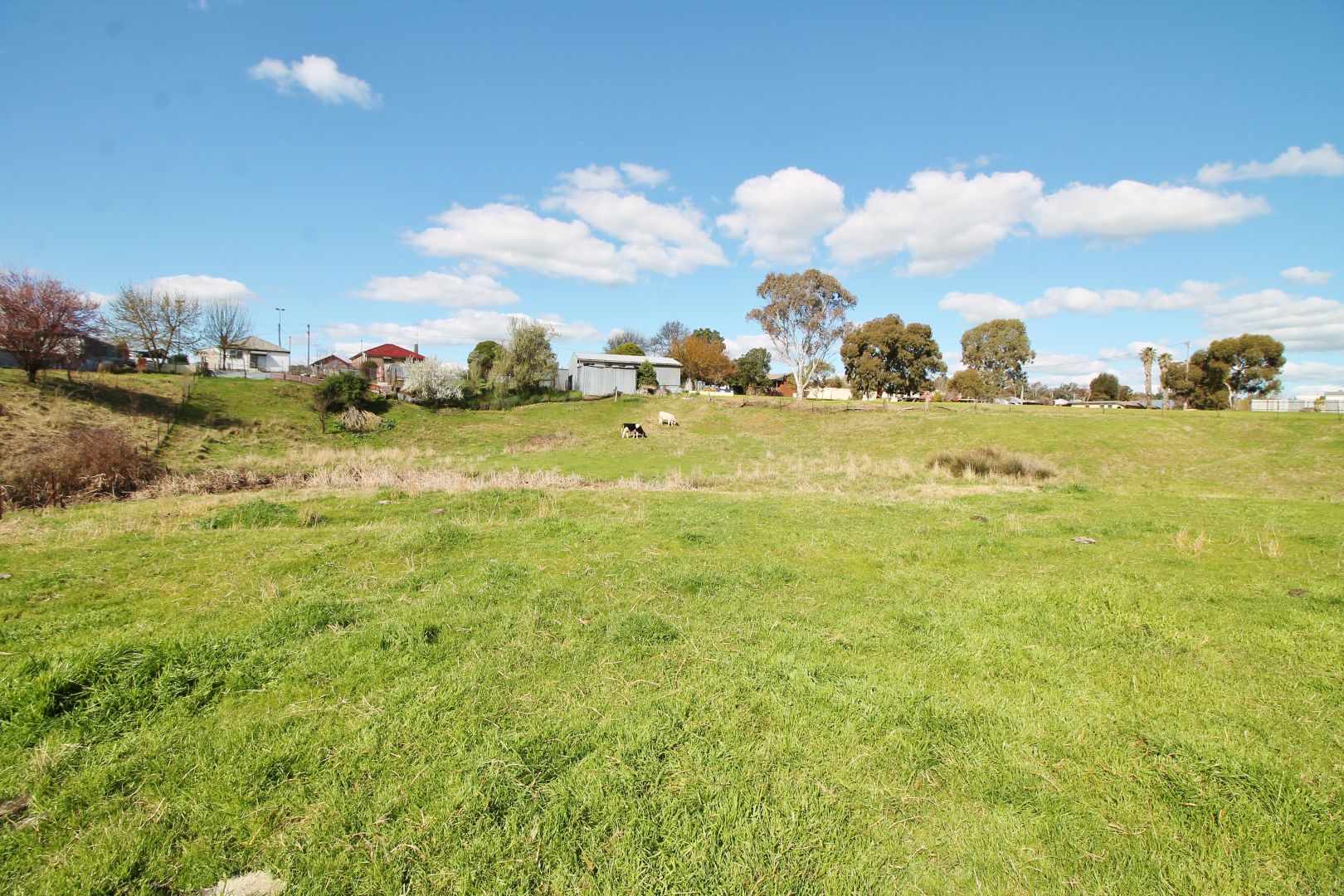 (Part) 16 Willawong Street, Young NSW 2594 Domain