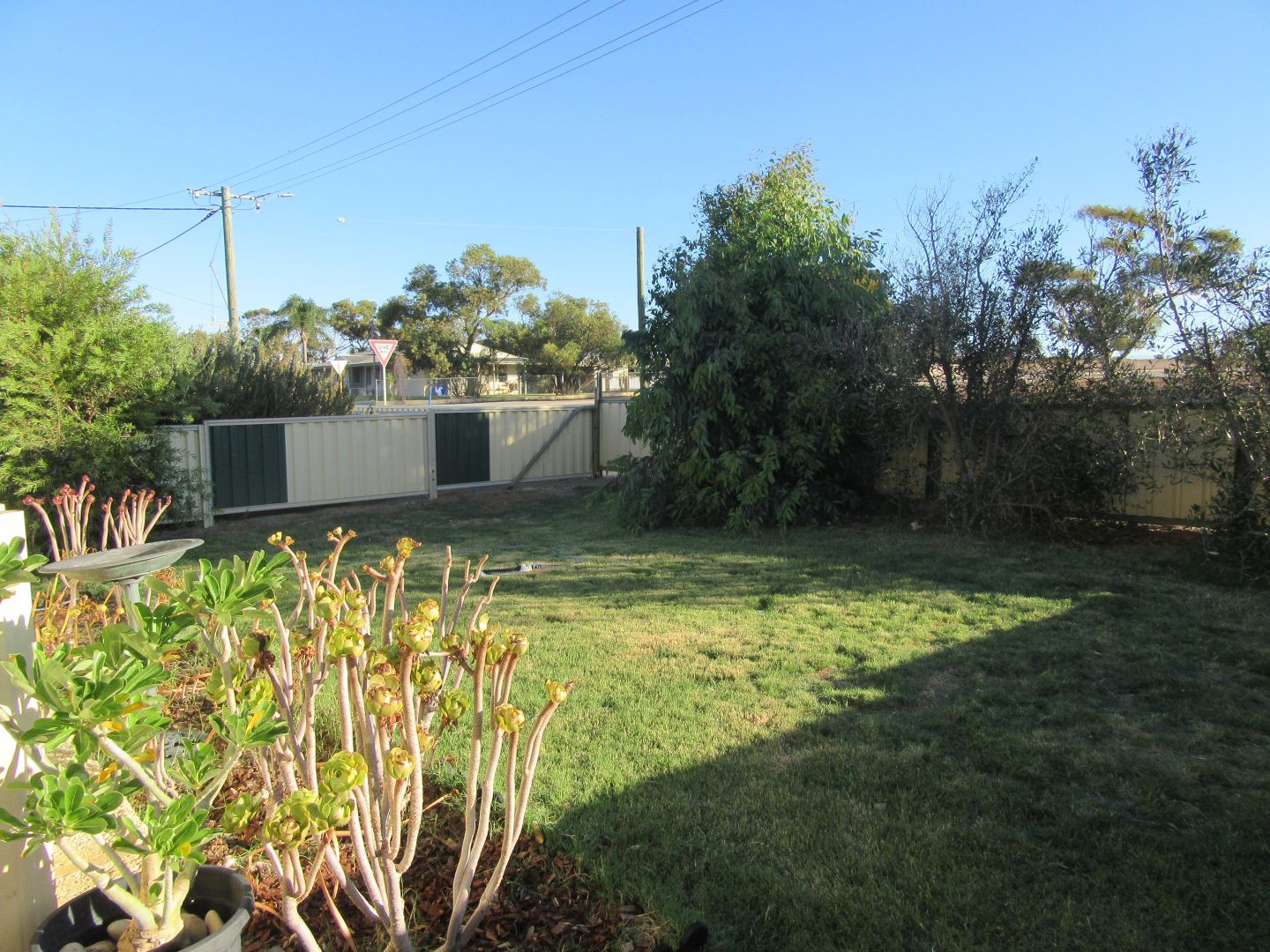 40 Slater Street, Carnamah WA 6517, Image 2