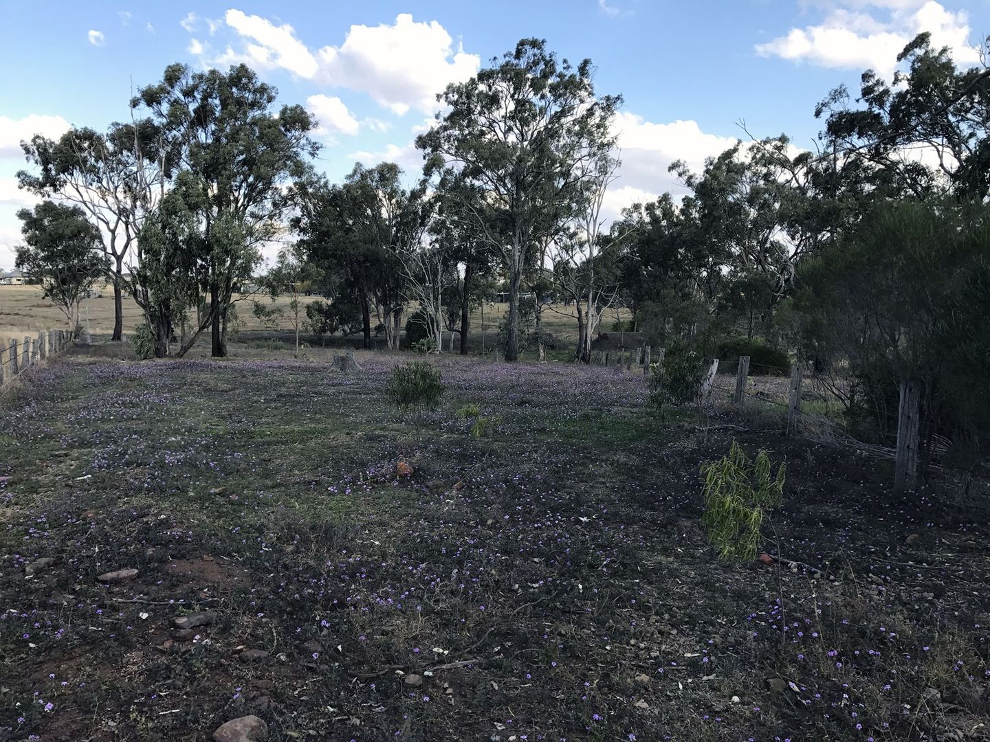 Lot 3 Kingsthorpe-Haden Road, Goombungee QLD 4354, Image 2