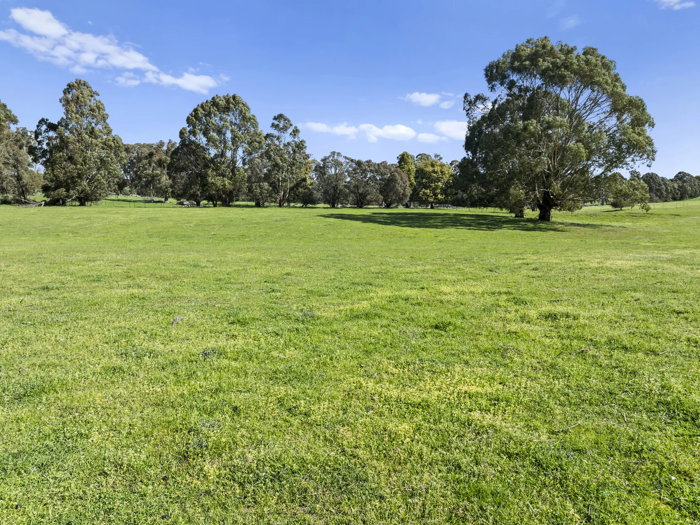 Image 14