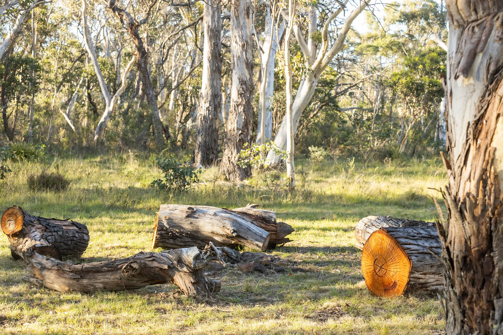 Additional image 29 of 122 Shale Lane, High Range NSW 2575