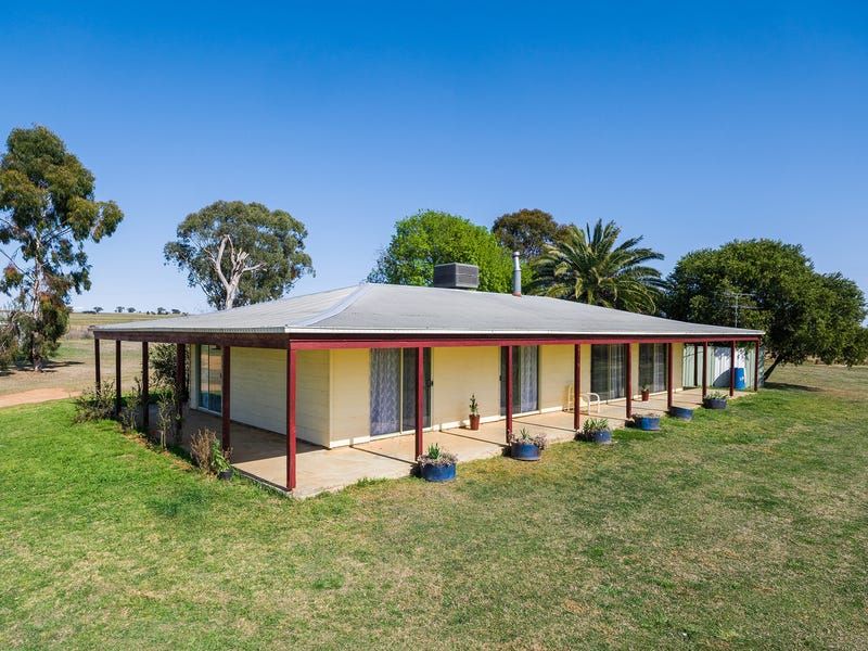 2231 Oxley Highway, Bective NSW 2340, Image 0