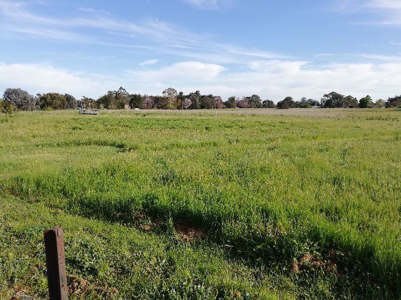 Avenel VIC 3664 Vacant Land for Sale Domain