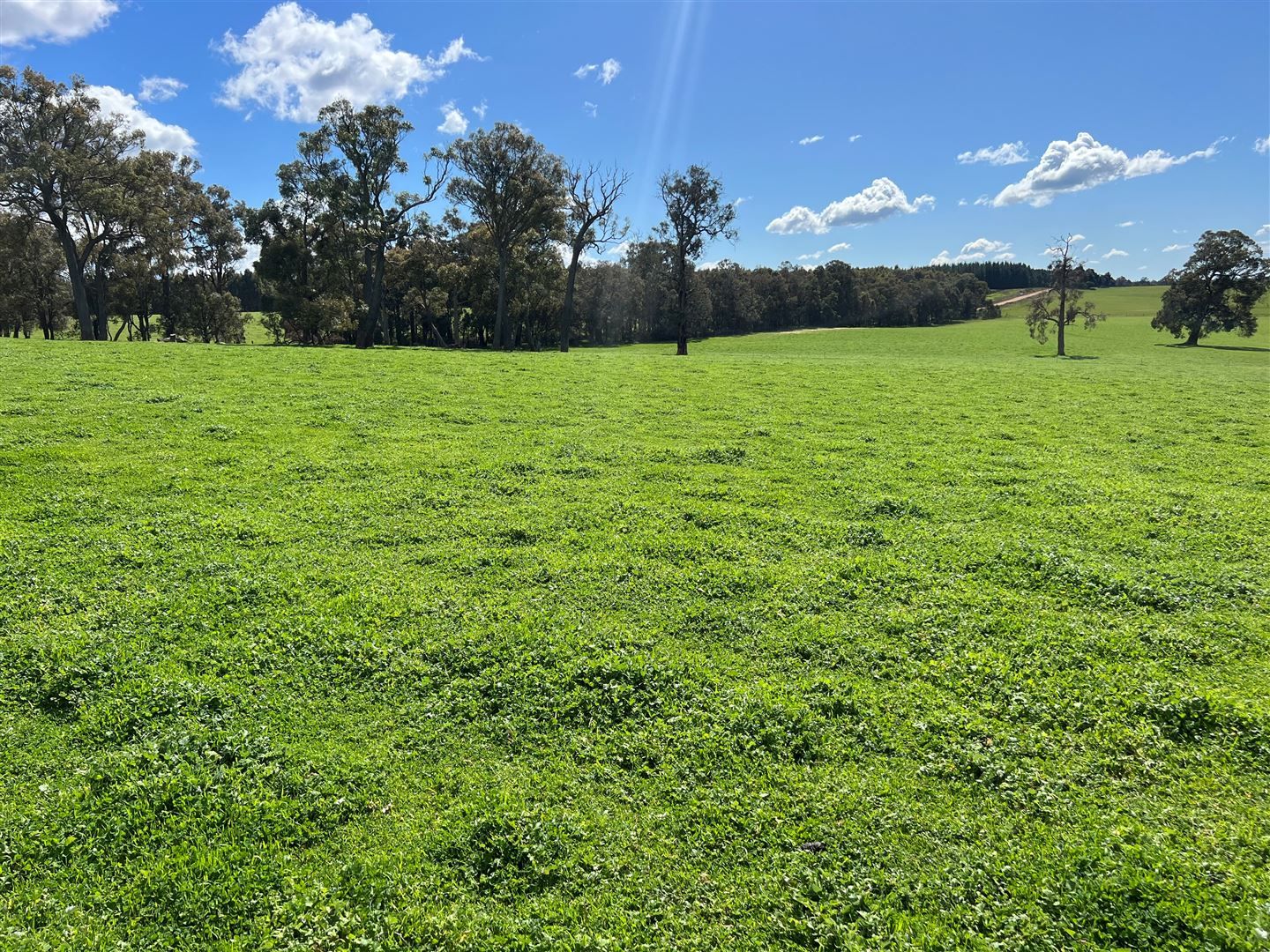 Lot 21 Foster Glen Road, Benjinup WA 6255, Image 2