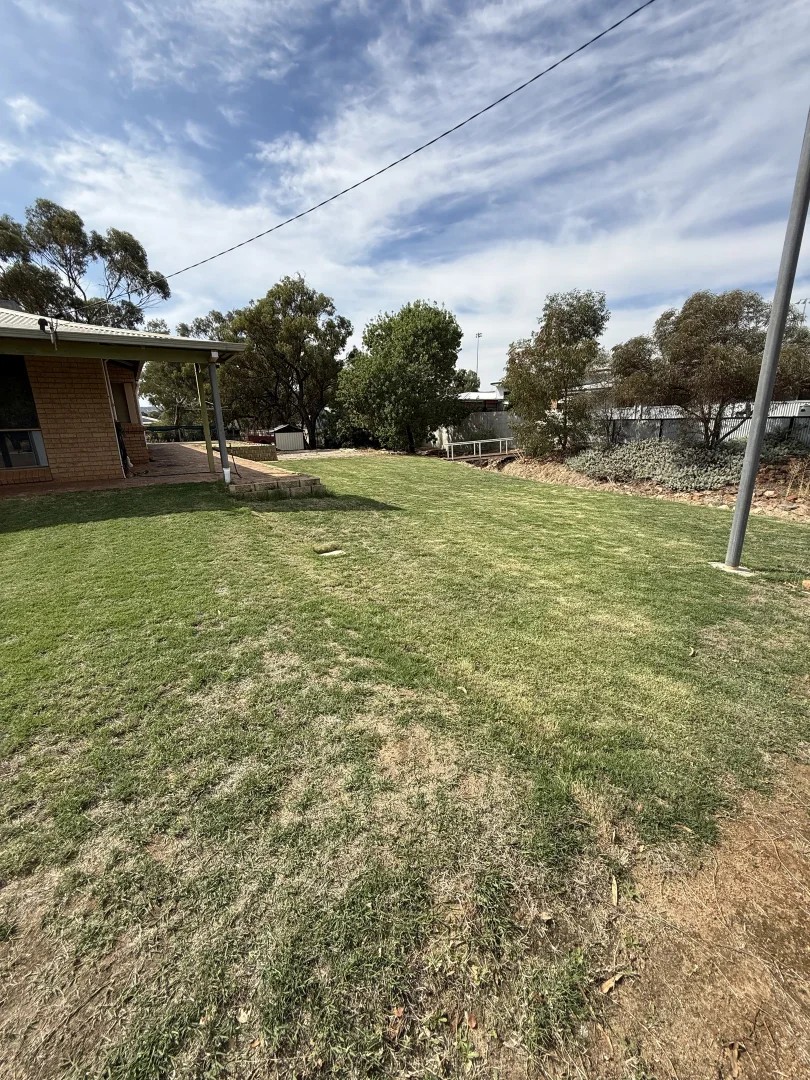 Image 31
