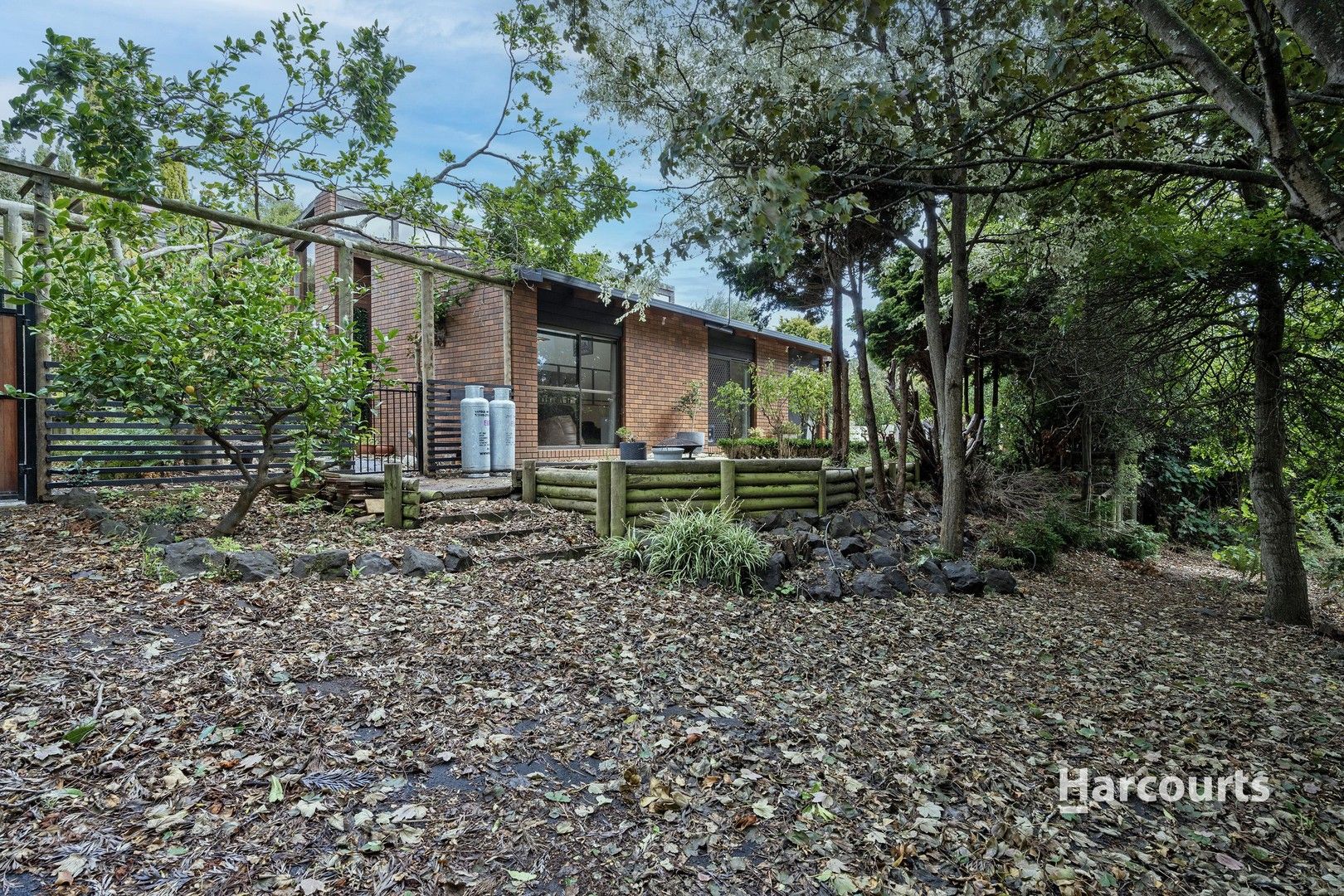 113 Brickport Road, Park Grove TAS 7320, Image 1