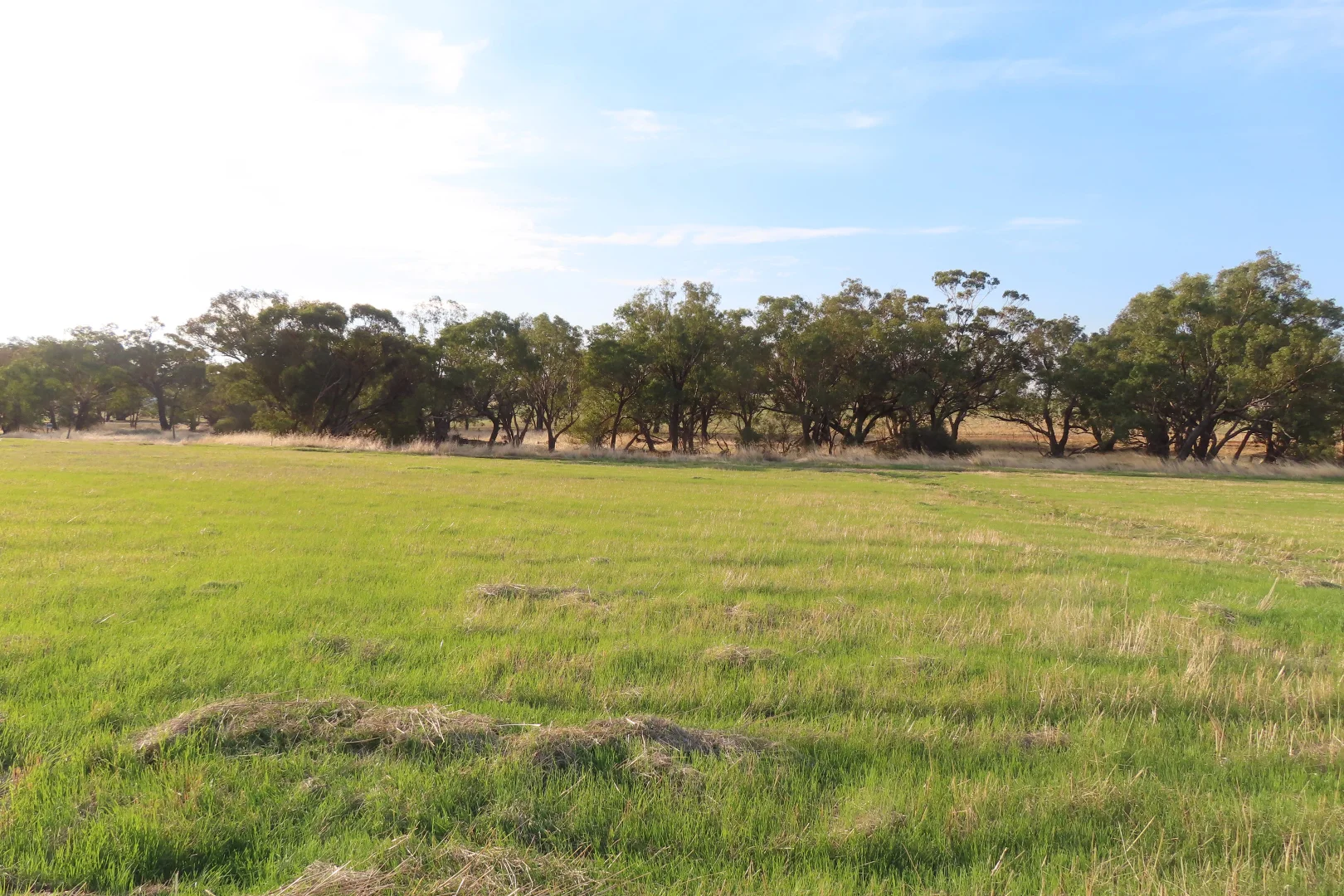 Additional image 3 of Lot 13 Barndon Street, Spencers Brook WA 6401