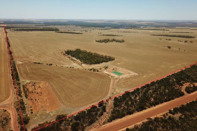 Picture of 2598 Mallee Hill Road, MALLEE HILL WA 6353