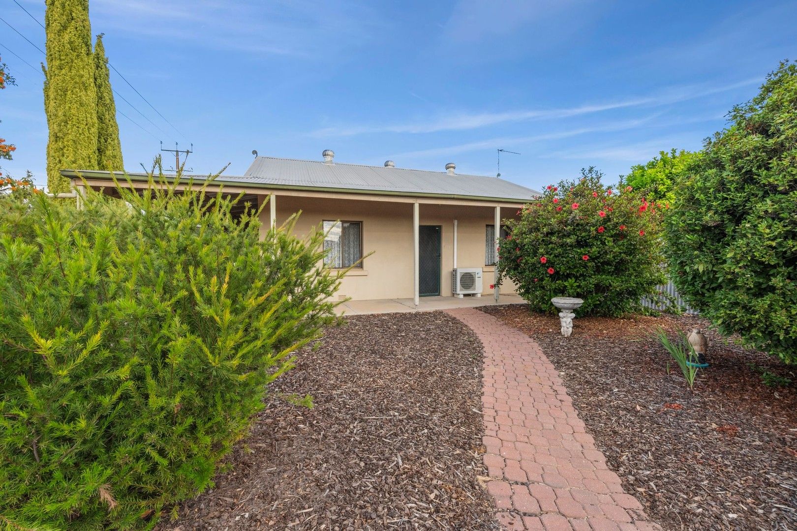 141 Cowra Street, Renmark SA 5341, Image 0