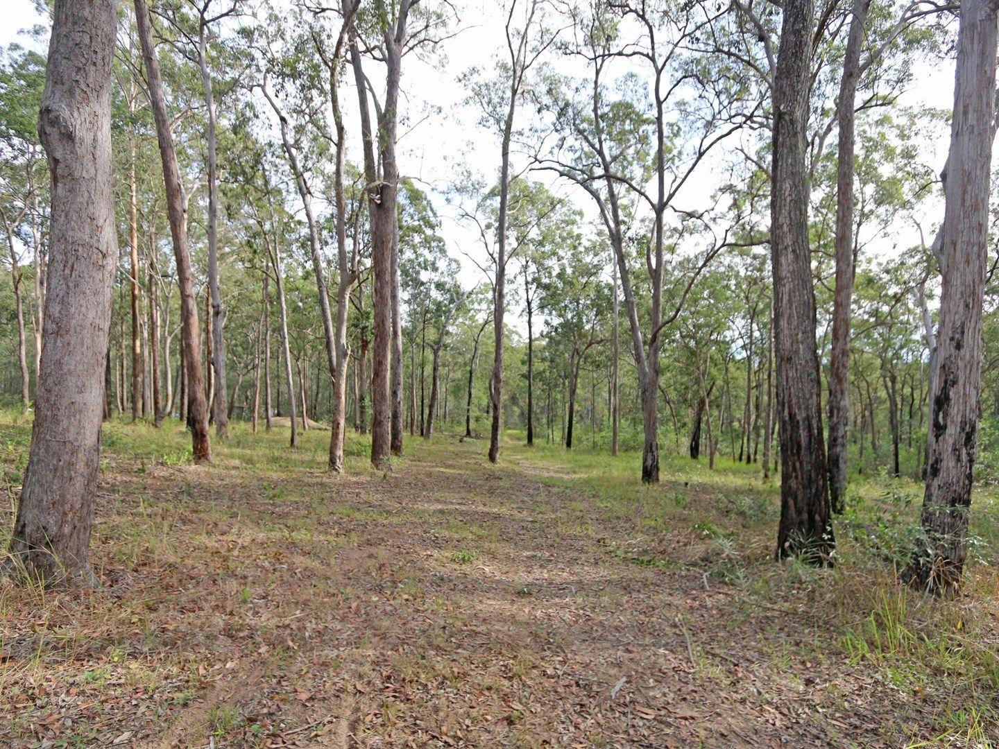 Lot 70 Ashby-Tullymorgan Road, Ashby NSW 2463, Image 0