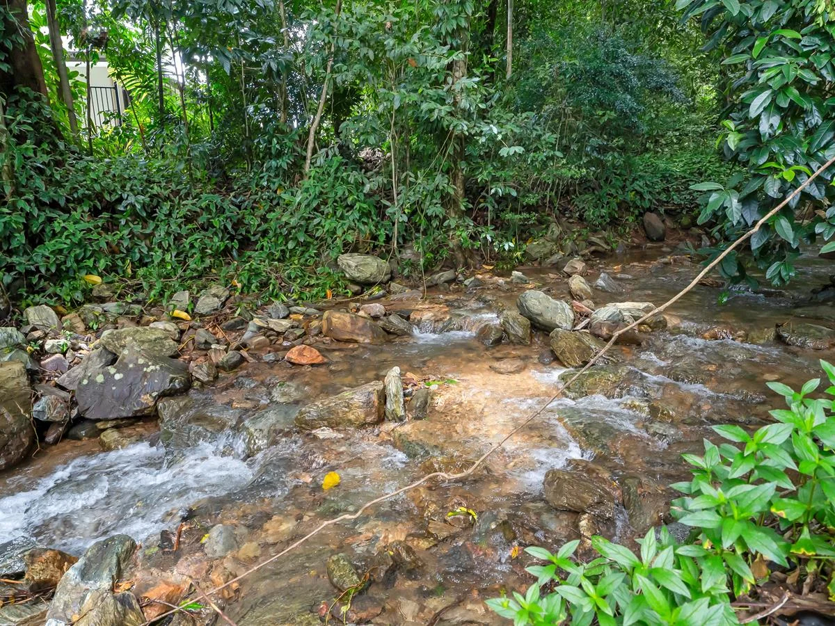 Additional image 28 of 13 Java Court, Redlynch QLD 4870