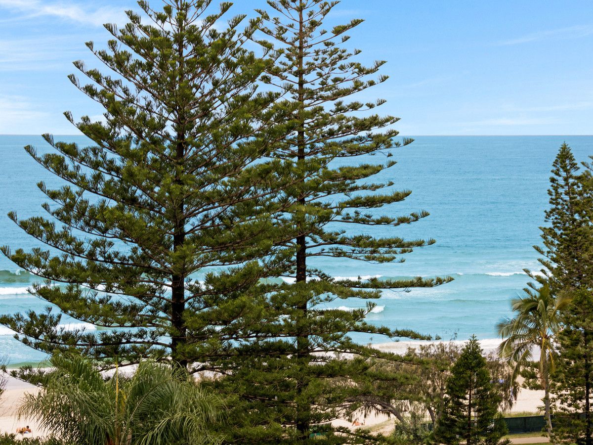 702/1855 Gold Coast Highway, Burleigh Heads QLD 4220, Image 1